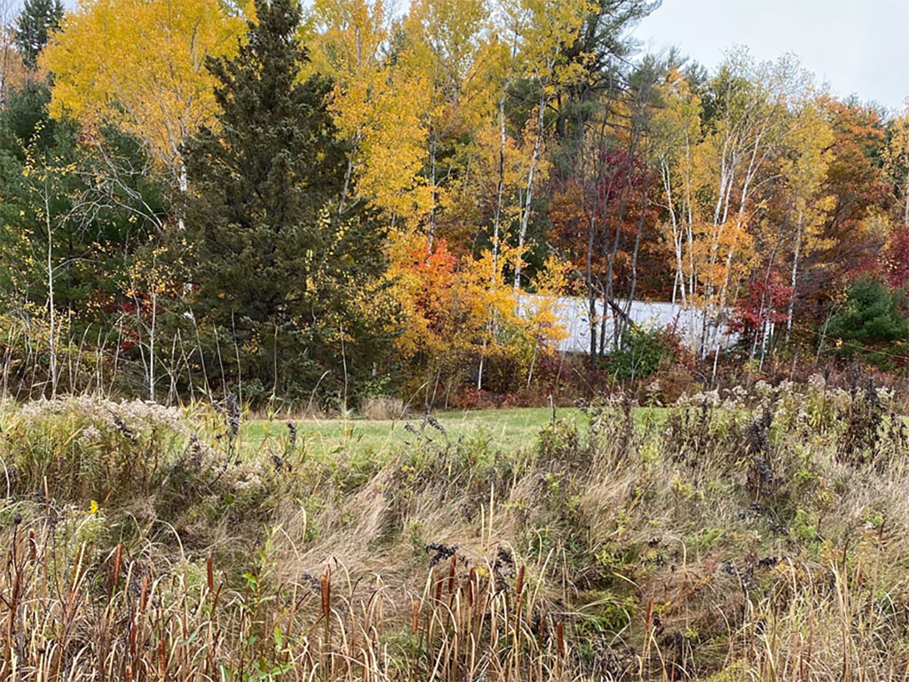 AANS21 01S1 | Property Photo | Ontario Tax Sales