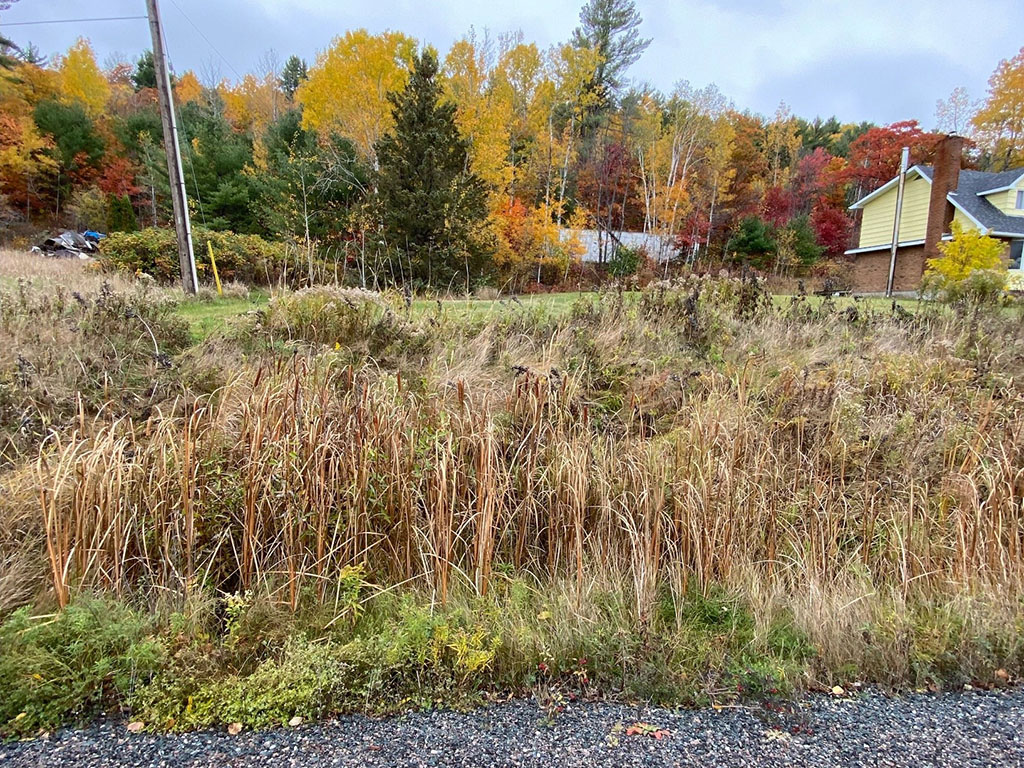 AANS21 01S2 | Property Photo | Ontario Tax Sales