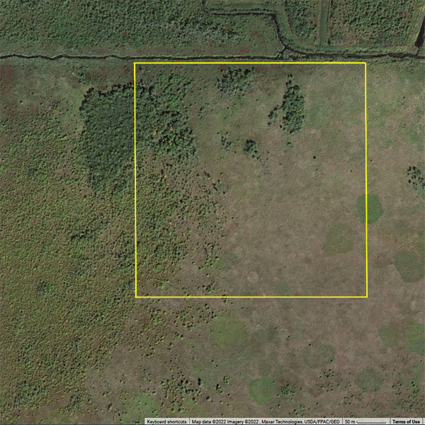 Dawson 20220729 Ontario Tax Sales