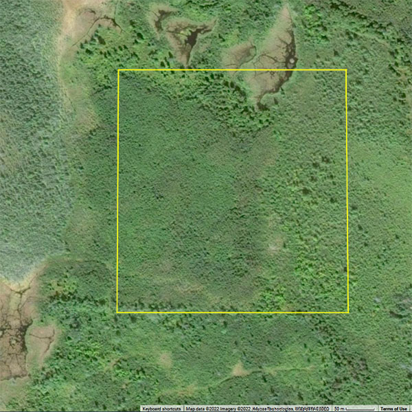 Lake of the woods 2022 07 29 09p | property photo | ontario tax sales