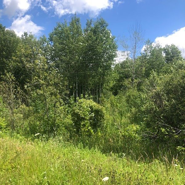 NDAH20 20S2 | Property Photo | Ontario Tax Sales