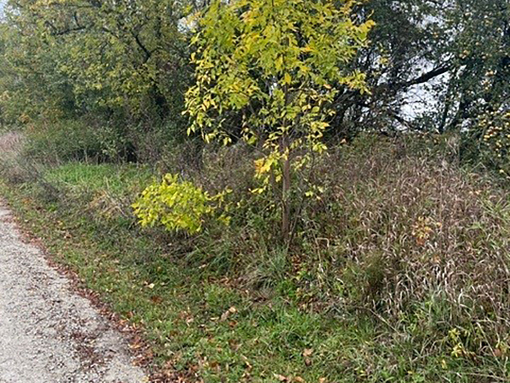 SOCW23 15S1 | Property Photo | Ontario Tax Sales