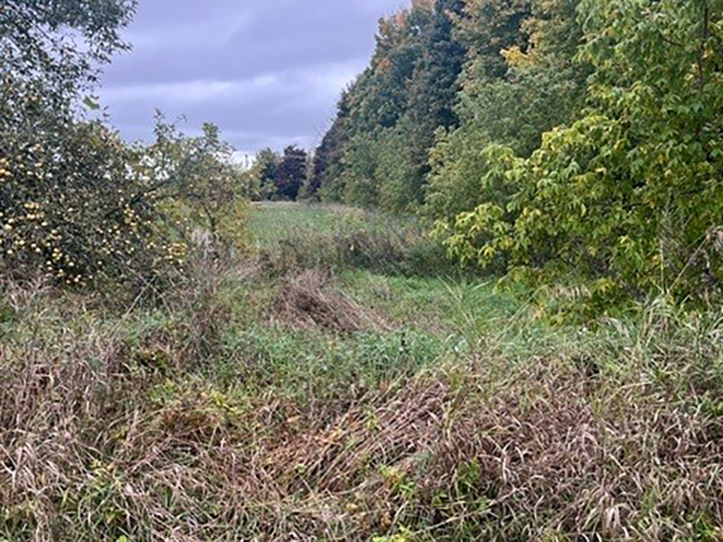 SOCW23 15S2 | Property Photo | Ontario Tax Sales