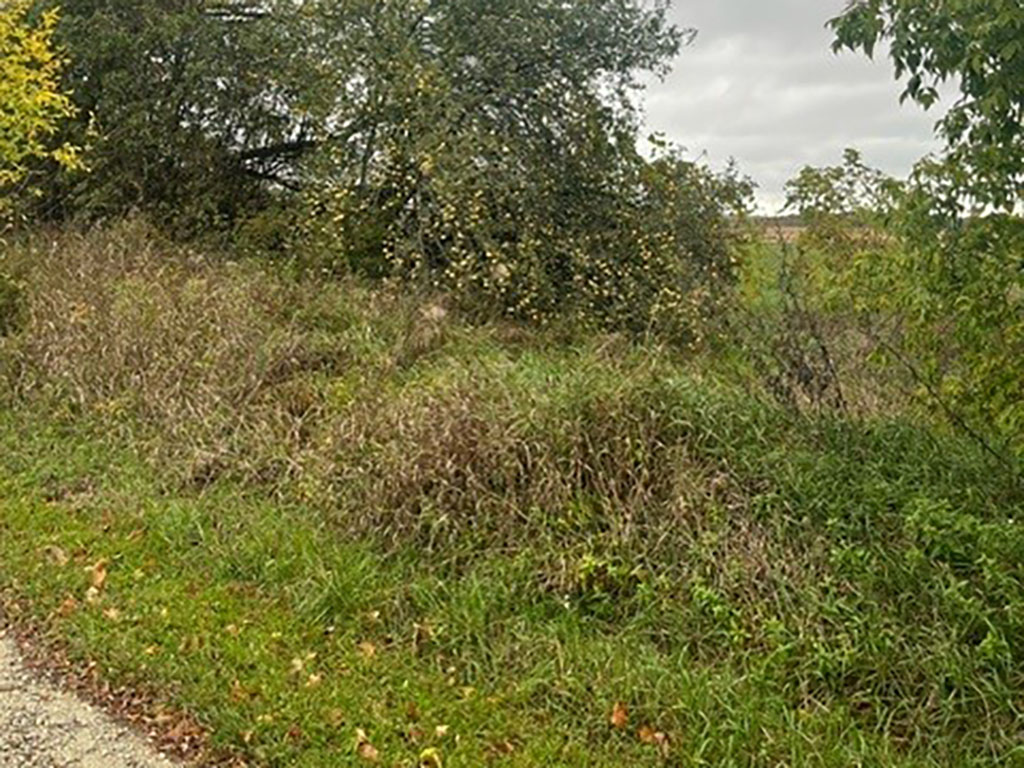 SOCW23 15S3 | Property Photo | Ontario Tax Sales